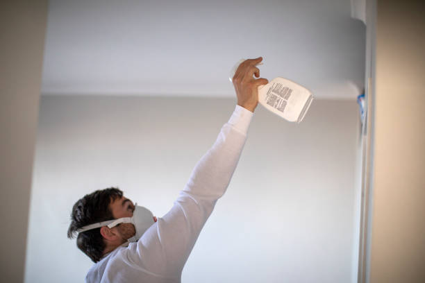 Best Commercial Mold Removal  in Grant, MN