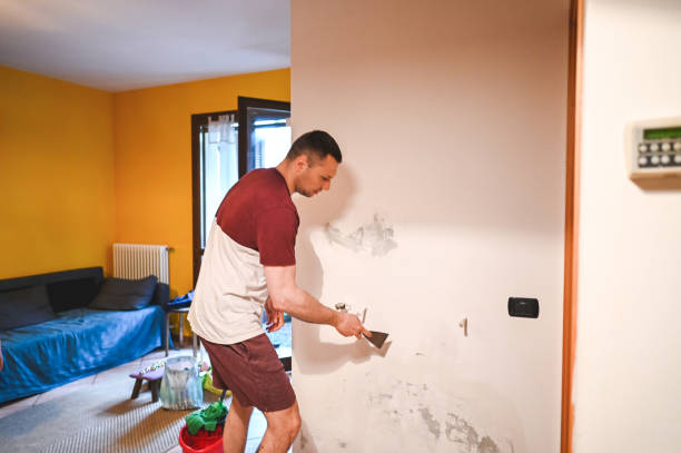 Best Mold Cleaning Services  in Grant, MN